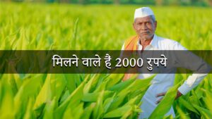 Read more about the article “किसानों के लिए खुशखबरी! पीएम किसान सम्मान निधि की अगली किस्त जल्द खाते में – जानें तारीख”